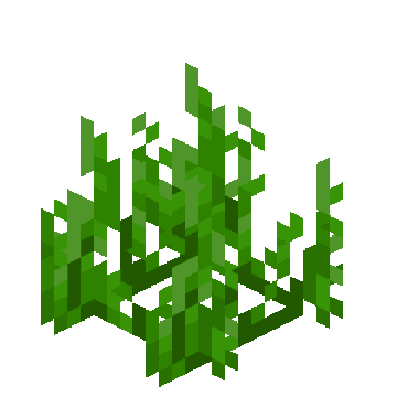 Seagrass_JE1_BE2
