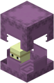 A shulker.