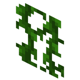 Vines JE2 BE2