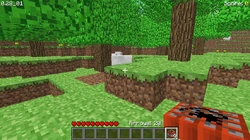 Survival mode in 0.28_01, achieved by editing the client.