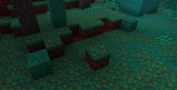 An erosion in a warped forest.