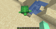 A Turtle Lays Eggs