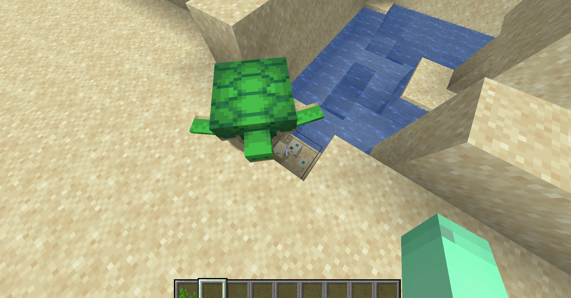 Turtle Minecraft Wiki