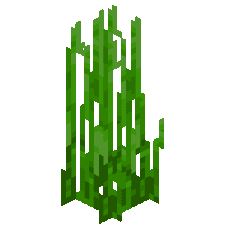 Erva Marinha Minecraft Wiki Oficial Browse hundreds of minecraft texture packs developed by the minecraft community. erva marinha minecraft wiki oficial