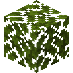Stony Peaks