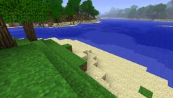 Beach in Java Edition Beta 1.7.3, which is much smoother than it's modern counterpart.