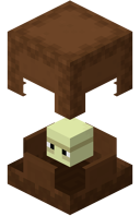 Brown Shulker