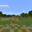V1.14.31 panorama 2.png