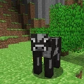 The original black-and-white cow.
