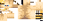 The persian cat texture with hidden pixels revealed