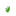 White Tulip JE7 BE2.png