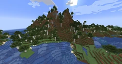 Tall birch trees in a old growth birch forest biome.