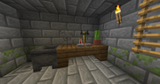 Minecraftigloobasement