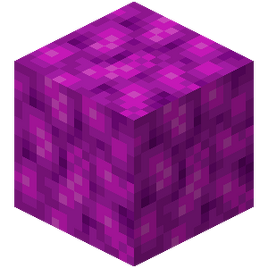 Bubble Coral Block