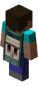 MINECON 2015 Cape