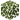 Mangrove Swamp Oak Leaves