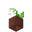 Potted Lily of the Valley UNKVER1 (facing NWU).png