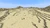 Desert
