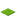 Lime Carpet.png