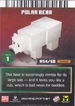 Polar Bear Card Back MCDA