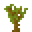 Acacia Sapling (texture) JE1 BE1.png