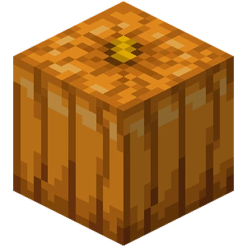 Carved_Pumpkin_(N)_JE5