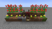 FlowerPlaceBlock