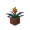 Potted Torchflower