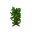 Jungle Sapling JE7.png