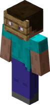 Steve trägt Eichen-Zauntor.png