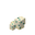 Turtle Egg 4 JE1