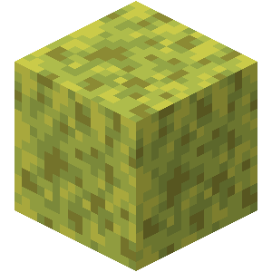 Sponge – Minecraft Wiki