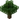 Oak JE11
