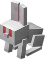 Baby Albino Rabbit.png