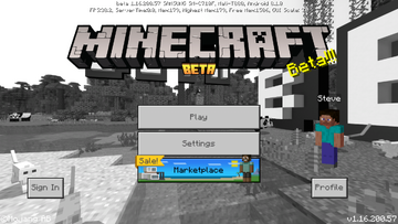 Download Minecraft 1.16.100 Nether Update apk free: Full Version