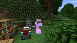 Enchanting Table Official Minecraft Wiki Enchanting Table Official Minecraft Wiki