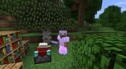 Enchanting Table Official Minecraft Wiki