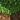 Minecraft - Volume Alpha cover