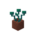 Potted Warped Roots.png