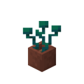 Potted Warped Roots.png