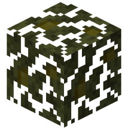 Swamp