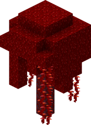 Huge Crimson fungi