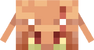 PiglinBruteFace.png
