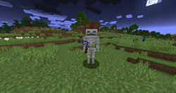 Skeleton Official Minecraft Wiki