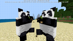 Panda Minecraft Wiki