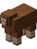 Brown Sheep BE4