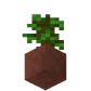 Potted Jungle Sapling UNKVER2 (facing NWU)