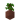 Potted Jungle Sapling UNKVER2 (facing NWU)