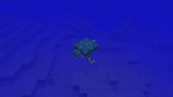 The first released screenshot of a turtle.