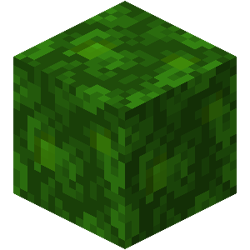 Jungle Leaves